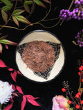 Pau D’Arco Bark (Tabebuia avellandea) - Witching Herbs